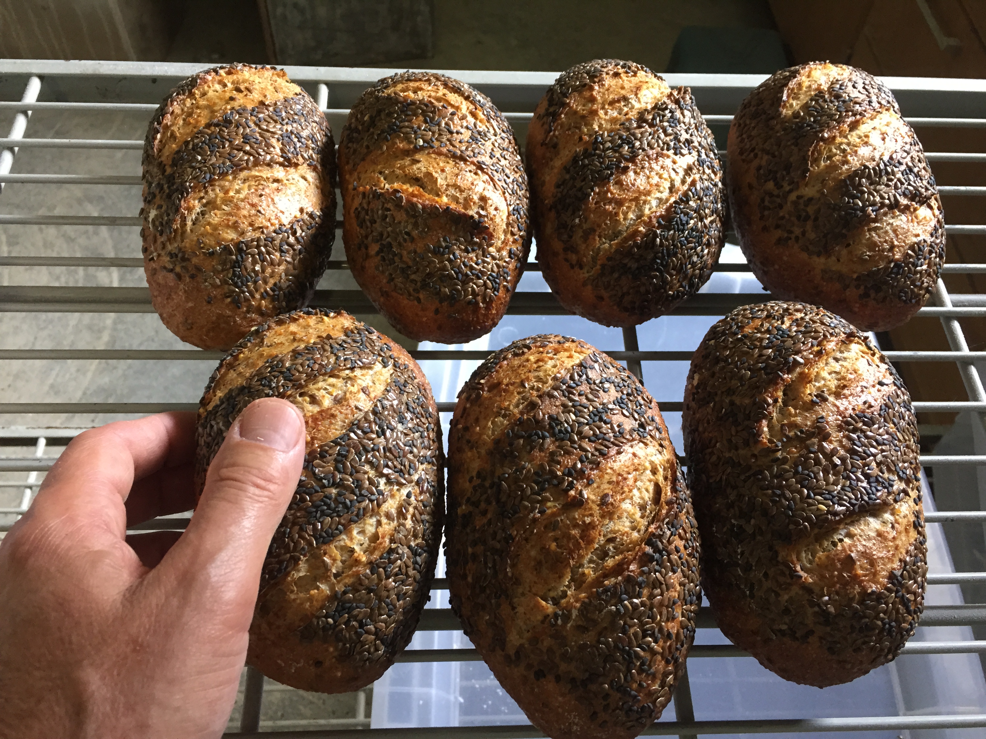 Mini Bread Loaves Recipe 